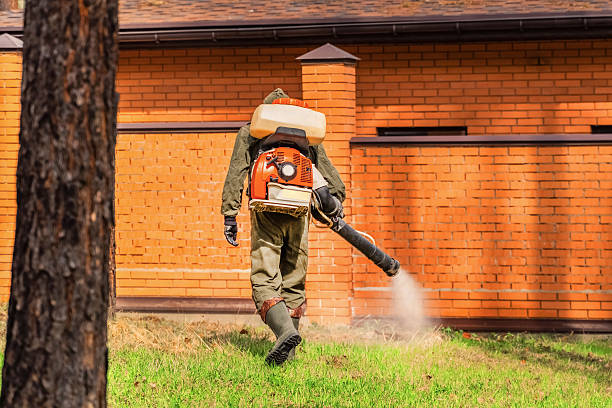 Trusted Cockroach Control service in Graniteville, SC - Nex Pest Control